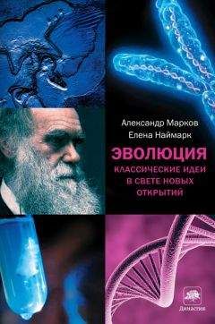 Александр Марков - Эволюция. Классические идеи в свете новых открытий - Читать 📖 Читать онлайн 👀 Читаемые книги читать онлайн бесплатно 🔥 booksread-online.com