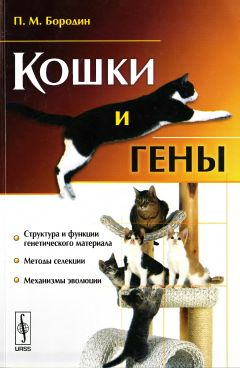 Павел Бородин - Кошки и гены - Читать 📖 Читать онлайн 👀 Читаемые книги читать онлайн бесплатно 🔥 booksread-online.com