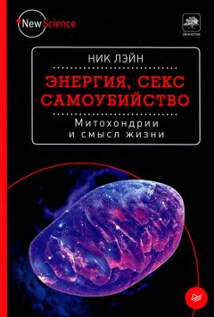 Ник Лэйн - Энергия, секс, самоубийство - Читать 📖 Читать онлайн 👀 Читаемые книги читать онлайн бесплатно 🔥 booksread-online.com