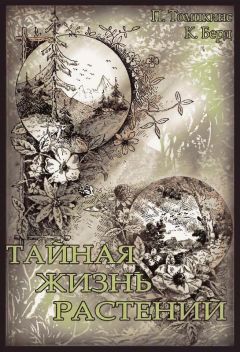 Питер Томпкинс - Тайная жизнь растений - Читать 📖 Читать онлайн 👀 Читаемые книги читать онлайн бесплатно 🔥 booksread-online.com