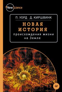 Питер Уорд - Новая история происхождения жизни на Земле - Читать 📖 Читать онлайн 👀 Читаемые книги читать онлайн бесплатно 🔥 booksread-online.com