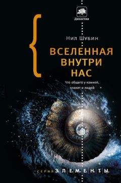 Нил Шубин - Вселенная внутри нас: что общего у камней, планет и людей - Читать 📖 Читать онлайн 👀 Читаемые книги читать онлайн бесплатно 🔥 booksread-online.com