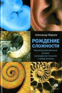 Александр Марков - Рождение сложности. Эволюционная биология сегодня: неожиданные открытия и новые вопросы - Читать 📖 Читать онлайн 👀 Читаемые книги читать онлайн бесплатно 🔥 booksread-online.com