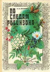Николай Верзилин - По следам Робинзона - Читать | Читать онлайн | Читаемые книги читать онлайн бесплатно | booksread-online.com