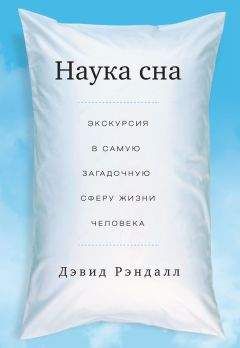Дэвид Рэндалл - Наука сна. Экскурсия в самую загадочную сферу жизни человека - Читать | Читать онлайн | Читаемые книги читать онлайн бесплатно | booksread-online.com