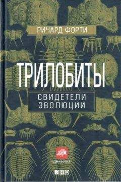 Ричард Форти - Трилобиты: Свидетели эволюции - Читать 📖 Читать онлайн 👀 Читаемые книги читать онлайн бесплатно 🔥 booksread-online.com