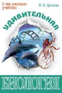 И. Дроздова - Удивительная биология - Читать 📖 Читать онлайн 👀 Читаемые книги читать онлайн бесплатно 🔥 booksread-online.com