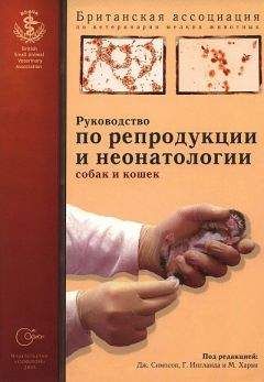 Британская ассоциация по ветеринарии мелких животных - Руководство по репродукции и неонатологии собак и кошек - Читать 📖 Читать онлайн 👀 Читаемые книги читать онлайн бесплатно 🔥 booksread-online.com
