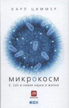 Карл Циммер - Микрокосм. E. coli и новая наука о жизни - Читать 📖 Читать онлайн 👀 Читаемые книги читать онлайн бесплатно 🔥 booksread-online.com