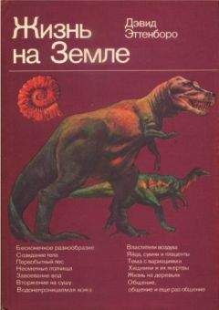 Дэвид Эттенборо - Жизнь на Земле. Естественная история - Читать 📖 Читать онлайн 👀 Читаемые книги читать онлайн бесплатно 🔥 booksread-online.com