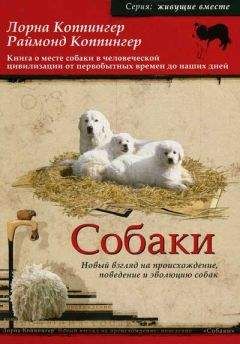 Лорна Коппингер - Собаки. Новый взгляд на происхождение, поведение и эволюцию собак - Читать 📖 Читать онлайн 👀 Читаемые книги читать онлайн бесплатно 🔥 booksread-online.com