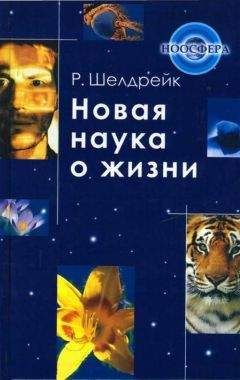 Руперт Шелдрейк - Новая наука о жизни - Читать 📖 Читать онлайн 👀 Читаемые книги читать онлайн бесплатно 🔥 booksread-online.com
