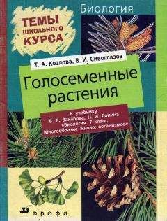 Владислав Сивоглазов - Голосеменные растения - Читать 📖 Читать онлайн 👀 Читаемые книги читать онлайн бесплатно 🔥 booksread-online.com