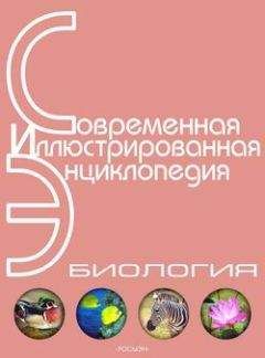 Александр Горкин - Энциклопедия «Биология» (без иллюстраций) - Читать 📖 Читать онлайн 👀 Читаемые книги читать онлайн бесплатно 🔥 booksread-online.com