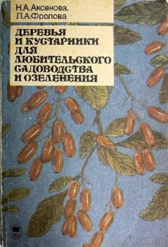 Нина Аксёнова - Деревья и кустарники для любительского садоводства и озеленения - Читать 📖 Читать онлайн 👀 Читаемые книги читать онлайн бесплатно 🔥 booksread-online.com