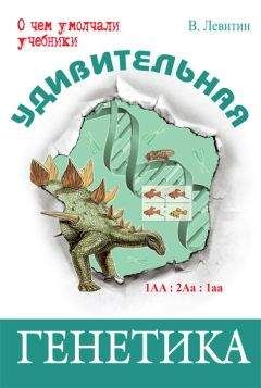 Вадим Левитин - Удивительная генетика - Читать 📖 Читать онлайн 👀 Читаемые книги читать онлайн бесплатно 🔥 booksread-online.com