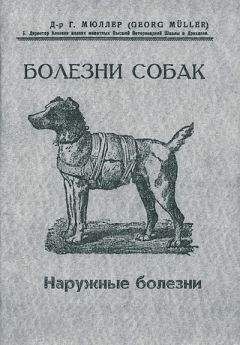 Георг Мюллер - Болезни собак. Краткое руководство. Наружные болезни - Читать | Читать онлайн | Читаемые книги читать онлайн бесплатно | booksread-online.com