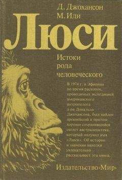 Дональд Джохансон - Люси. Истоки рода человеческого - Читать 📖 Читать онлайн 👀 Читаемые книги читать онлайн бесплатно 🔥 booksread-online.com