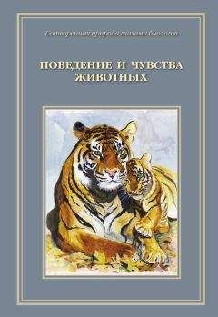 Татьяна Жданова - Сотворенная природа глазами биологов. Поведение и чувство животных - Читать 📖 Читать онлайн 👀 Читаемые книги читать онлайн бесплатно 🔥 booksread-online.com
