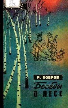 Рэм Бобров - Беседы о лесе - Читать 📖 Читать онлайн 👀 Читаемые книги читать онлайн бесплатно 🔥 booksread-online.com