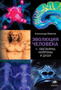 Александр Марков - Обезьяны, нейроны и душа - Читать 📖 Читать онлайн 👀 Читаемые книги читать онлайн бесплатно 🔥 booksread-online.com
