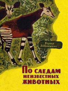 Бернар Эйвельманс - По следам неизвестных животных - Читать | Читать онлайн | Читаемые книги читать онлайн бесплатно | booksread-online.com