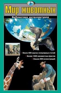 Любовь Кашинская - Мир животных - Читать 📖 Читать онлайн 👀 Читаемые книги читать онлайн бесплатно 🔥 booksread-online.com