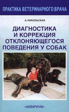 Анастасия Никольская - Диагностика и коррекция отклоняющегося поведения у собак - Читать | Читать онлайн | Читаемые книги читать онлайн бесплатно | booksread-online.com