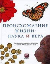 Коллектив авторов - Происхождение жизни. Наука и вера - Читать 📖 Читать онлайн 👀 Читаемые книги читать онлайн бесплатно 🔥 booksread-online.com