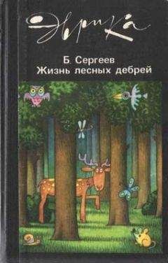 Борис Сергеев - Жизнь лесных дебрей - Читать | Читать онлайн | Читаемые книги читать онлайн бесплатно | booksread-online.com