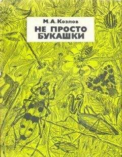 Михаил Козлов - Не просто букашки - Читать 📖 Читать онлайн 👀 Читаемые книги читать онлайн бесплатно 🔥 booksread-online.com