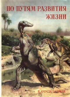 Йозеф Аугуста - По пути развития жизни - Читать 📖 Читать онлайн 👀 Читаемые книги читать онлайн бесплатно 🔥 booksread-online.com