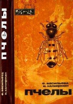 Иосиф Халифман - Пчелы - Читать 📖 Читать онлайн 👀 Читаемые книги читать онлайн бесплатно 🔥 booksread-online.com