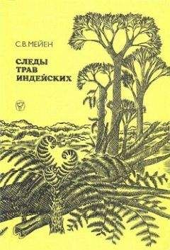 Сергей Мейен - Следы трав индейских - Читать 📖 Читать онлайн 👀 Читаемые книги читать онлайн бесплатно 🔥 booksread-online.com
