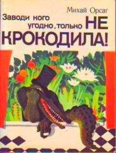Михай Орсаг - Заводи кого угодно, только НЕ КРОКОДИЛА! - Читать 📖 Читать онлайн 👀 Читаемые книги читать онлайн бесплатно 🔥 booksread-online.com