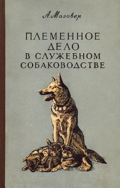 Александр Мазовер - Племенное дело в служебном собаководстве - Читать 📖 Читать онлайн 👀 Читаемые книги читать онлайн бесплатно 🔥 booksread-online.com