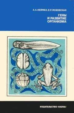 Александр Нейфах - Гены и развитие организма - Читать 📖 Читать онлайн 👀 Читаемые книги читать онлайн бесплатно 🔥 booksread-online.com