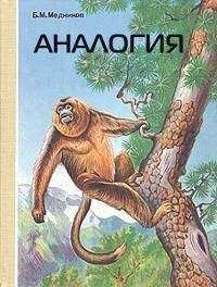 Борис Медников - Аналогия - Читать 📖 Читать онлайн 👀 Читаемые книги читать онлайн бесплатно 🔥 booksread-online.com