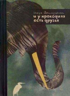 Игорь Акимушкин - И у крокодила есть друзья - Читать 📖 Читать онлайн 👀 Читаемые книги читать онлайн бесплатно 🔥 booksread-online.com