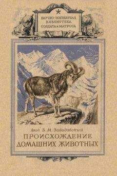 Борис Завадовский - Происхождение домашних животных - Читать 📖 Читать онлайн 👀 Читаемые книги читать онлайн бесплатно 🔥 booksread-online.com