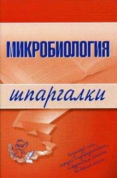 Ксения Ткаченко - Микробиология - Читать 📖 Читать онлайн 👀 Читаемые книги читать онлайн бесплатно 🔥 booksread-online.com