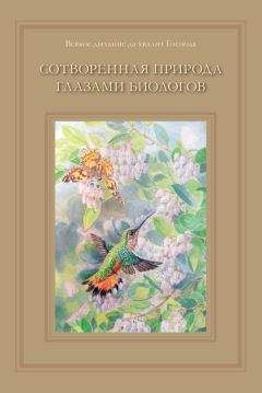 Татьяна Жданова - Сотворенная природа глазами биологов - Читать 📖 Читать онлайн 👀 Читаемые книги читать онлайн бесплатно 🔥 booksread-online.com
