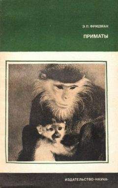 Эман Фридман - Приматы - Читать 📖 Читать онлайн 👀 Читаемые книги читать онлайн бесплатно 🔥 booksread-online.com