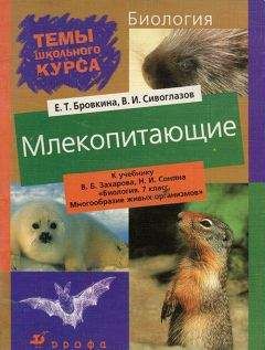 Евгения Бровкина - Млекопитающие - Читать | Читать онлайн | Читаемые книги читать онлайн бесплатно | booksread-online.com