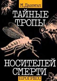 Милан Даниэл - Тайные тропы носителей смерти - Читать 📖 Читать онлайн 👀 Читаемые книги читать онлайн бесплатно 🔥 booksread-online.com
