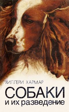 Хиллери Хармар - Собаки и их разведение - Читать 📖 Читать онлайн 👀 Читаемые книги читать онлайн бесплатно 🔥 booksread-online.com