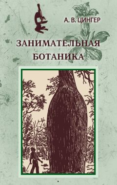 Александр Цингер - Занимательная ботаника - Читать 📖 Читать онлайн 👀 Читаемые книги читать онлайн бесплатно 🔥 booksread-online.com