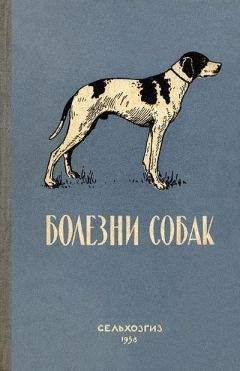 Лидия Панышева - Болезни собак (незаразные) - Читать | Читать онлайн | Читаемые книги читать онлайн бесплатно | booksread-online.com