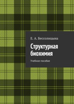 Е. Бессолицына - Структурная биохимия - Читать 📖 Читать онлайн 👀 Читаемые книги читать онлайн бесплатно 🔥 booksread-online.com