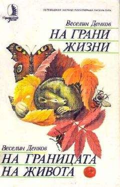 Веселин Денков - На грани жизни - Читать 📖 Читать онлайн 👀 Читаемые книги читать онлайн бесплатно 🔥 booksread-online.com
